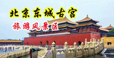 大基基操逼视频中国北京-东城古宫旅游风景区